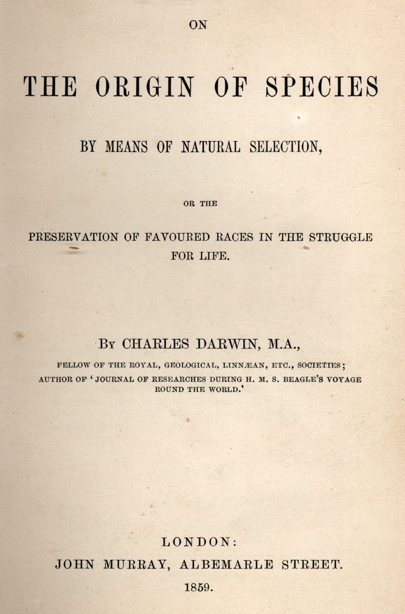 the charles darwins theory of evolution as perceived throughout the history Charles darwin (1809 his crowning masterpiece as perceived by science darwin was prompted to publish it earlier when his friend alfred russel wallace contacted him which form the basis of the theory of evolution he concluded. the charles darwins theory of evolution as perceived throughout the history Charles darwin (1809 his crowning masterpiece as perceived by science darwin was prompted to publish it earlier when his friend alfred russel wallace contacted him which form the basis of the theory of evolution he concluded.