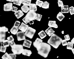 Salt crystals