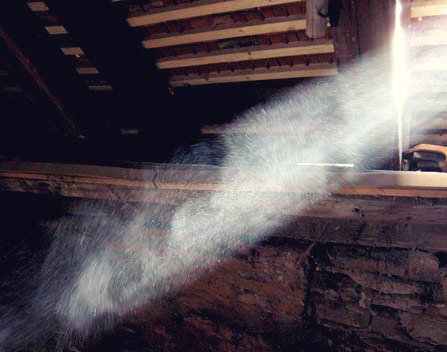 Dust Particles