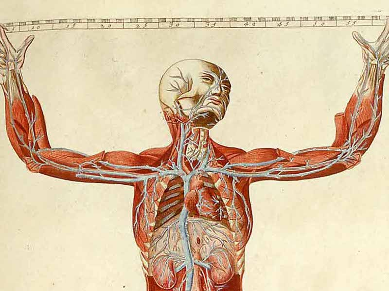 Membranes and Chemical Transport