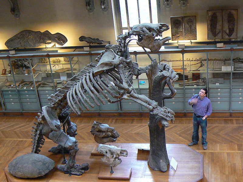 Charles Darwin I