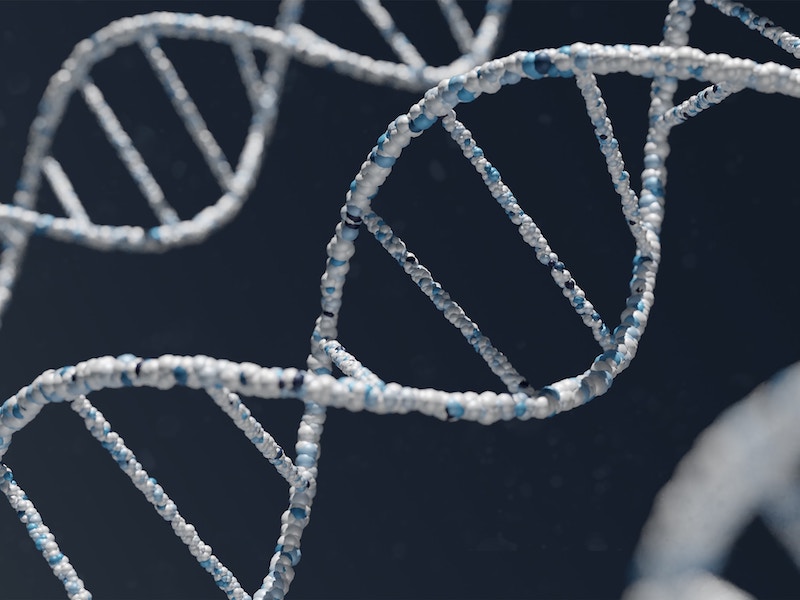 DNA II