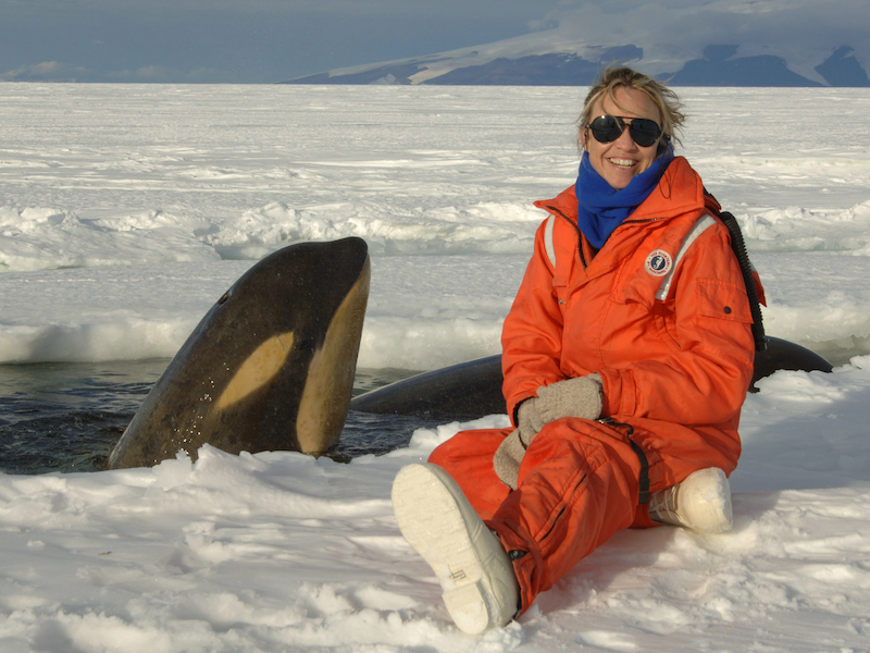 The Process of Science