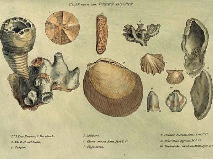 Theories, Hypotheses, and Laws