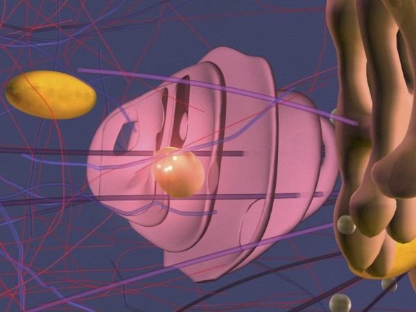 Cellular Organelles I