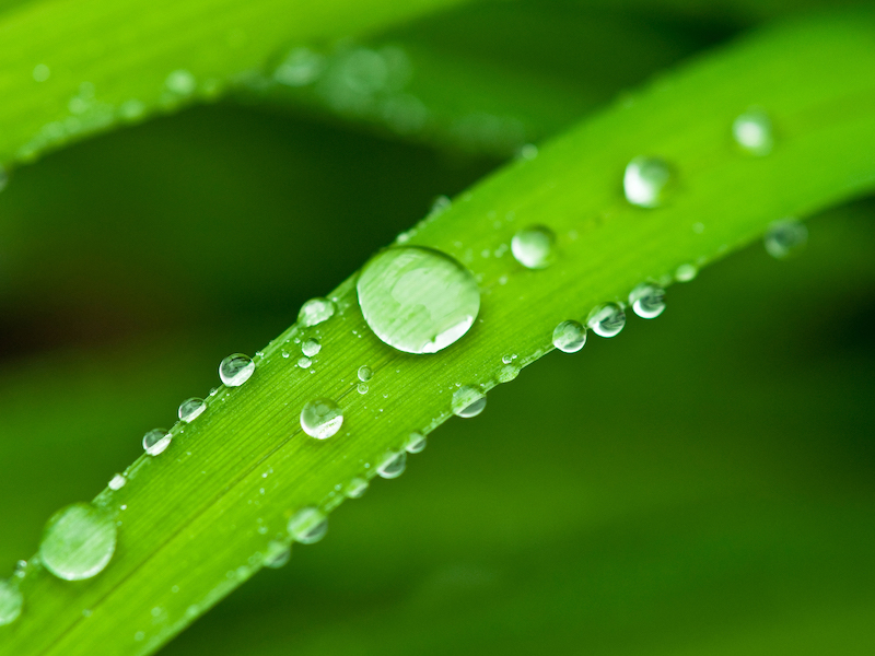 Properties of Liquids