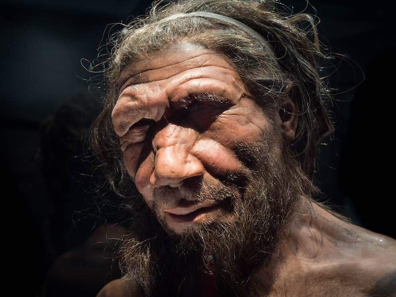 Introduction to Paleoanthropology