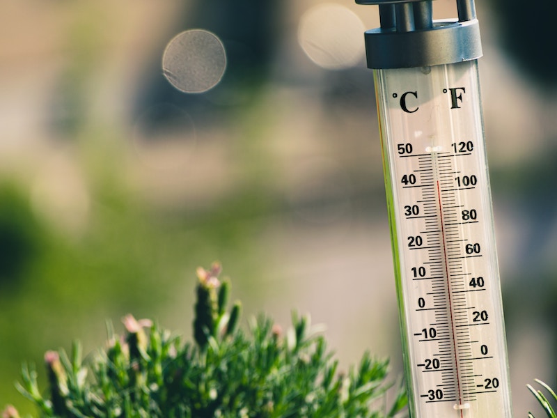 Temperature