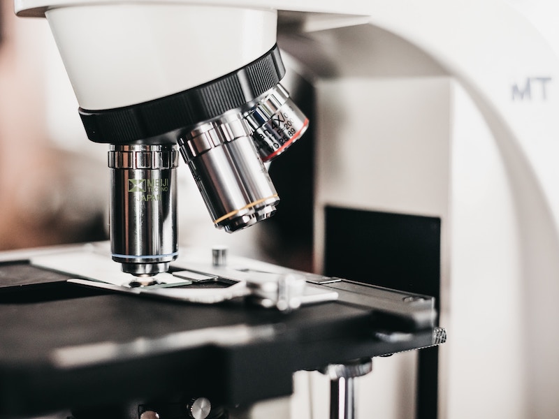Discovery and Structure of Cells