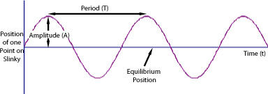 Figure 4: The motion of one point on a Slinky® as it travels through time.