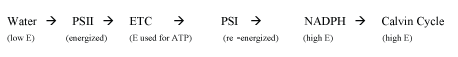         equ1        