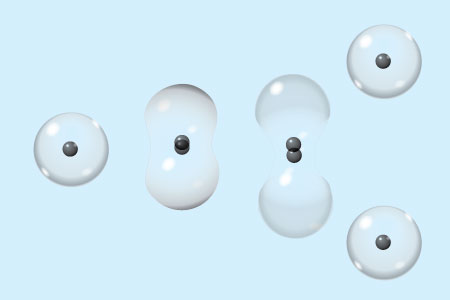 Figure 1: Most plant and animal cells replicate by splitting into two identical daughter cells.