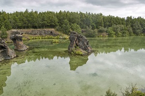 Figure 8: Myvatn Lake - a shallow eutrophic lake in northern Iceland.