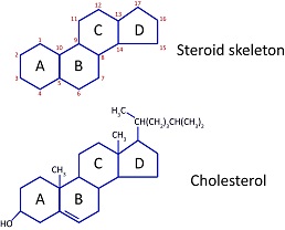 Figura 13: La estructura genérica de una molécula de esteroide y la estructura del colesterol.