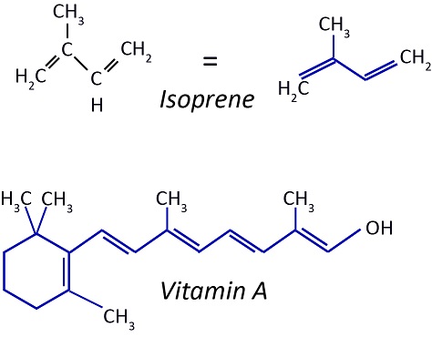 Figura 17: Las unidades de isopreno contienen cadenas ramificadas de cinco carbonos. Los animales pueden descomponer estas moléculas en vitamina A.
