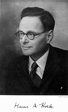 Figure 4: Hans Adolf Krebs