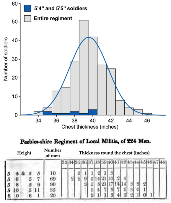 Figura 7: Distribución del ancho del pecho para el regimiento de Peebles-shire. Aunque el subconjunto de datos de soldados de 5'4 '' y 5'5 '' (azul) no parece estar distribuido normalmente, proviene de un conjunto de datos mucho más grande (gris) que puede aproximarse razonablemente mediante una distribución normal. La distribución de 5'4 "y 5'5" de los anchos de pecho (en pulgadas) es: 35, 35, 36, 37, 38, 38, 39, 40, 40, 40.