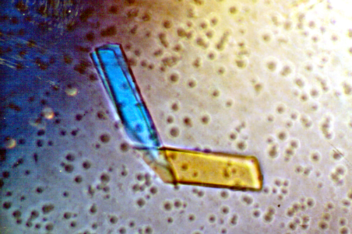 Figure 6: A crystal of Bence-Jones protein created with X-ray crystallography, which can reveal detailed, three-dimensional protein structures.
