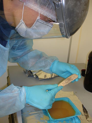 Figure 6: Researchers extracted DNA from neanderthal bones, carefully ensuring it was not contaminated with DNA from any other source (like modern humans).
