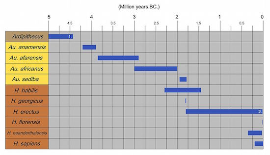 Figure 5: Estimated age of different humanoids and humans in the genera Ardipithecus, Australopithecus, and Homo.