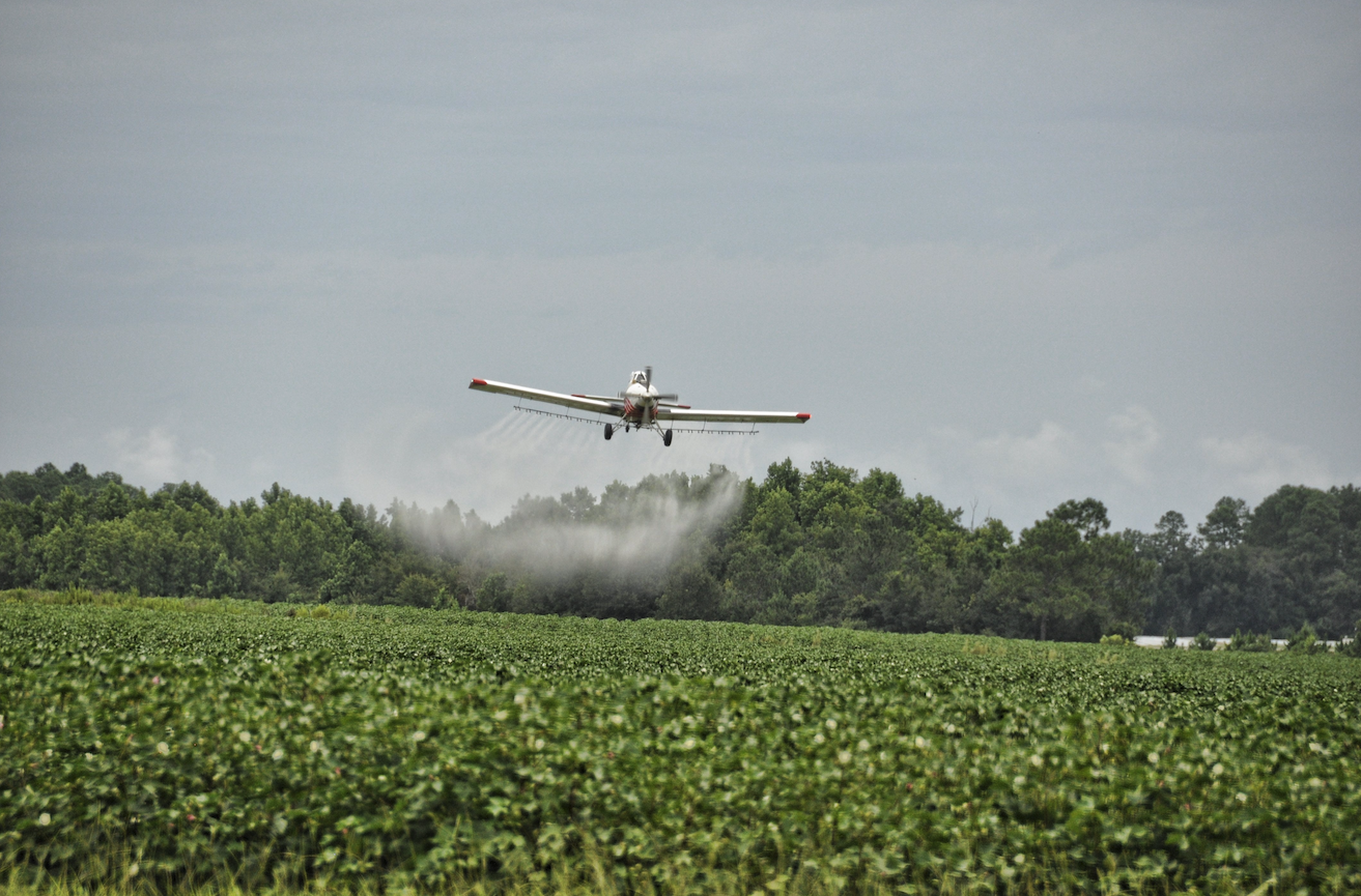 Spraying rice fields with fertilizer. The manufacturing of nitrogen-based fertilizers relies on stoichiometry to calculate how much starting material (N2 and H2) is needed to produce the desired amount of ammonia (NH3) to be used in the fertilizer.