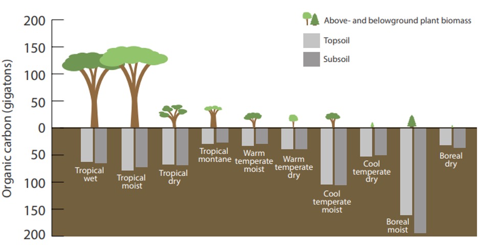 Figure 4: Graphic showing the relative amount of carbon stored in plant biomass across ecosystems. USDA Forest Service based on data from Scharlemann et al. (2014).