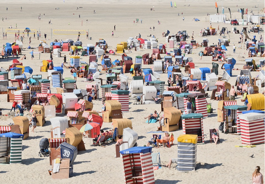 Figure 7: Beach scene.  How many species are visible in this scene?