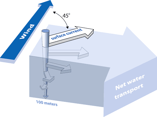 Figure 5: A conceptual illustration of Ekman transport. Friction from the motion of overlying layers combined with the Coriolis effect causes a spiral in the direction and velocities of subsequent layers of ocean water. The net motion of the upper few hundred meters of seawater, as controlled by prevailing winds, is approximately perpendicular to the wind direction.