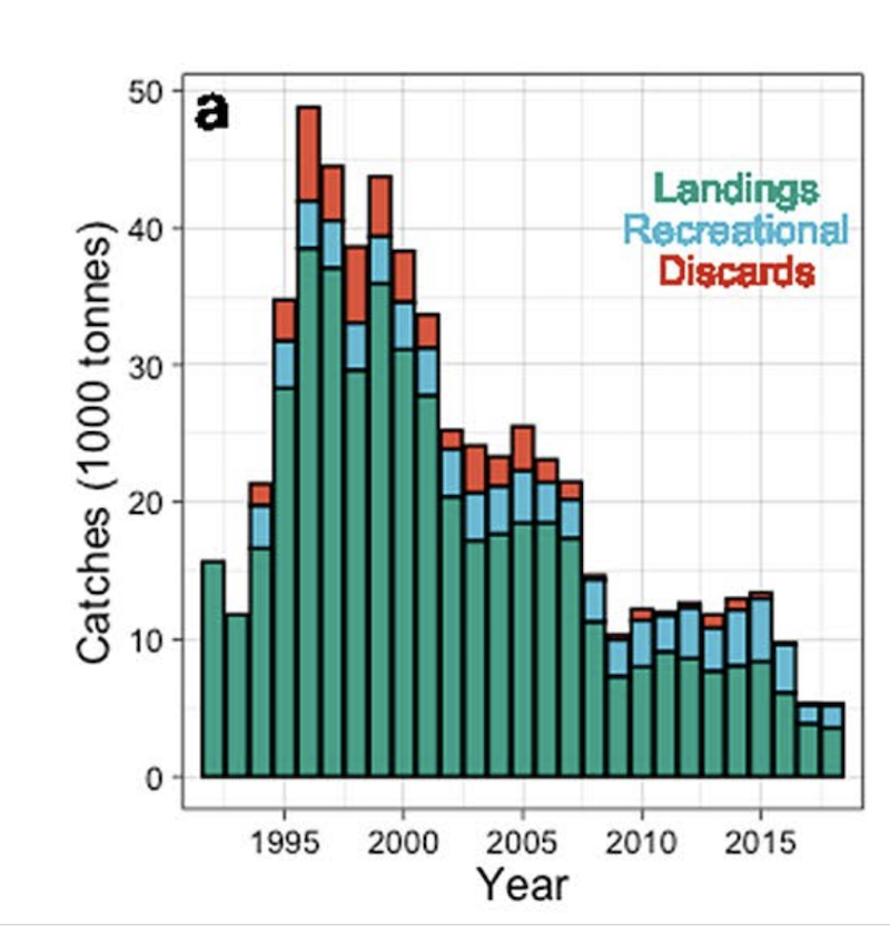 Figure 8: Tons of western Baltic cod captured from 1990 to 2020.
