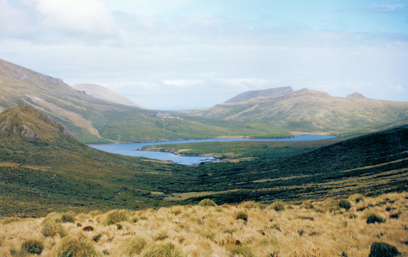 Figure 8: View of the summer landscape on Campbell Island.