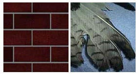 Figure 1: Bricks and feathers.