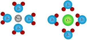 Figure 4: Table salt dissolving in water.