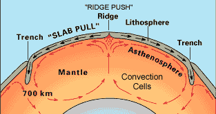 Figure 11. "Ridge push" and "slab pull" are both ways that gravity can act to keep a plate in motion. Note that arrows on convection cells and overlying plate are going in the same direction.
Figure modified from This Dynamic Earth, a publication from the US Geological Survey.